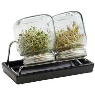 Eschenfelder Sprossenglas System II, 2x 750 ml, Schale anthrazit