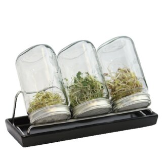 Eschenfelder Sprossenglas System III, 3x 1000 ml, Schale anthrazit