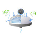 Lotus Vita Jahrespaket PiPremium Fontana Serie